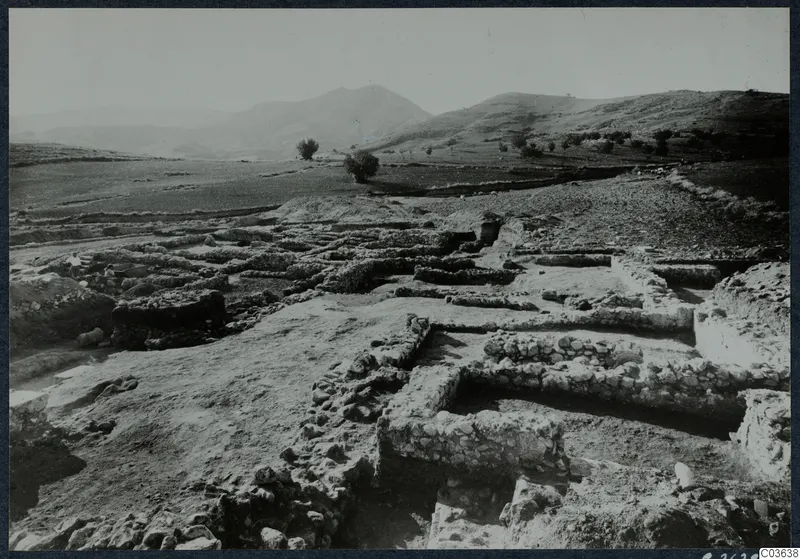 Excavated stone wall foundations at Cholades, Soli, with hills and scattered trees beyond