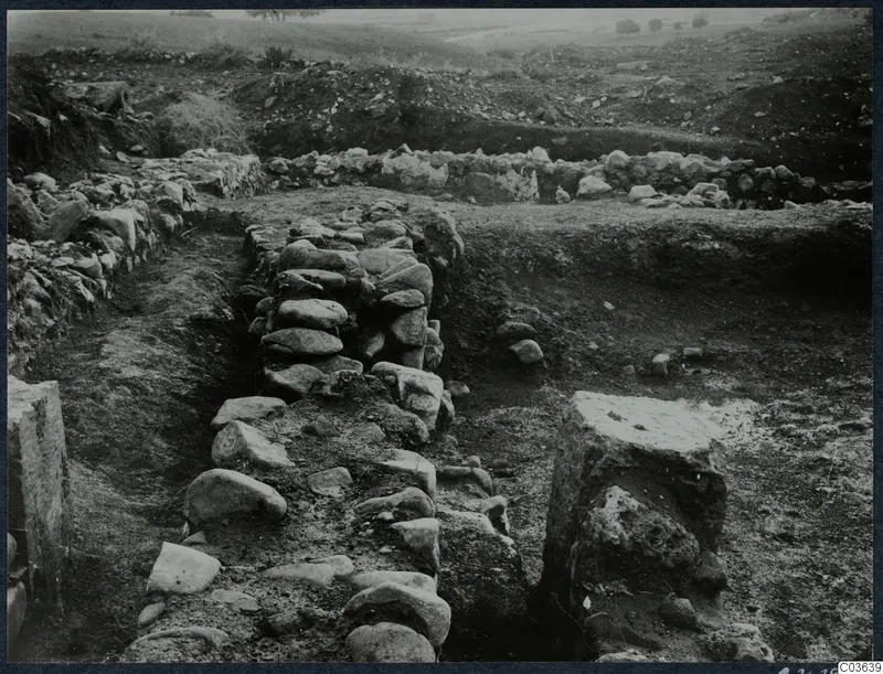 Excavation at the Cholades temples A-B at Soli, with rows of stone walls in trenches and trees on the horizon.