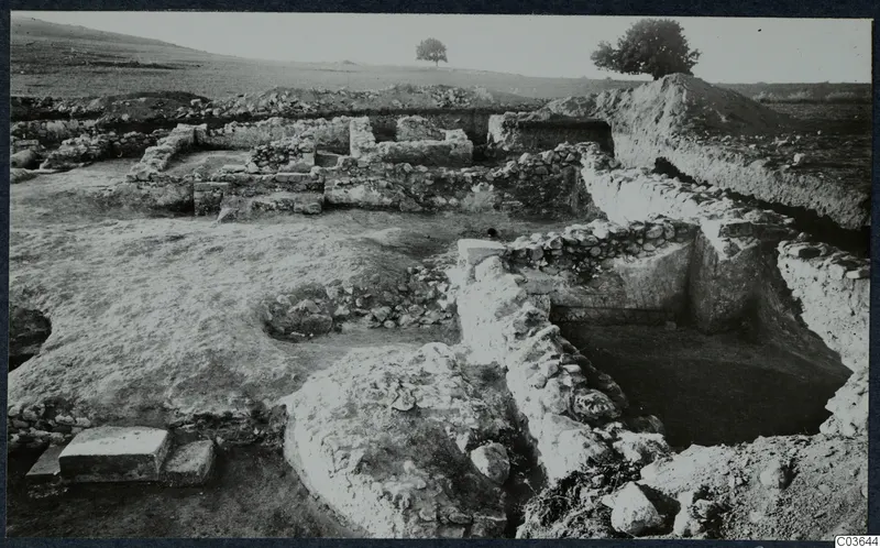 Excavated wall foundations at Temples A-B, Cholades, Soli, with two trees on the horizon