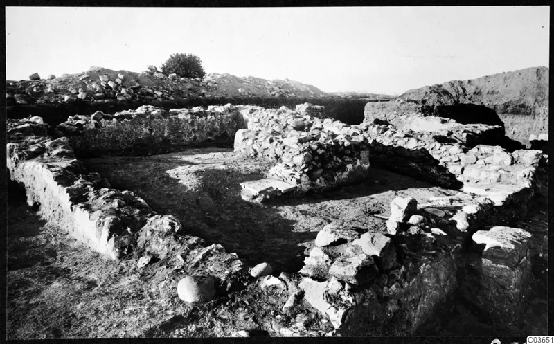 Excavated stone walls of the Cholades temples A-B at Soli, with a tree on the hill behind