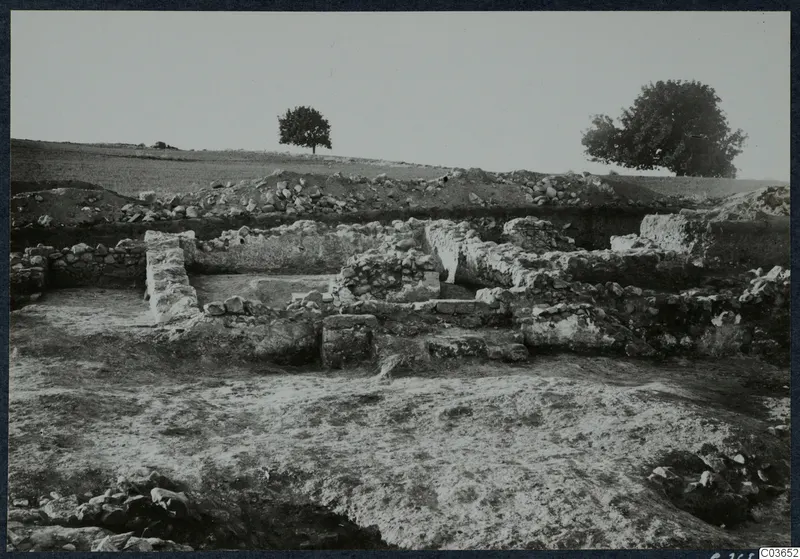 Excavated stone foundations of the Cholades temples A-B at Soli, with trees on the skyline