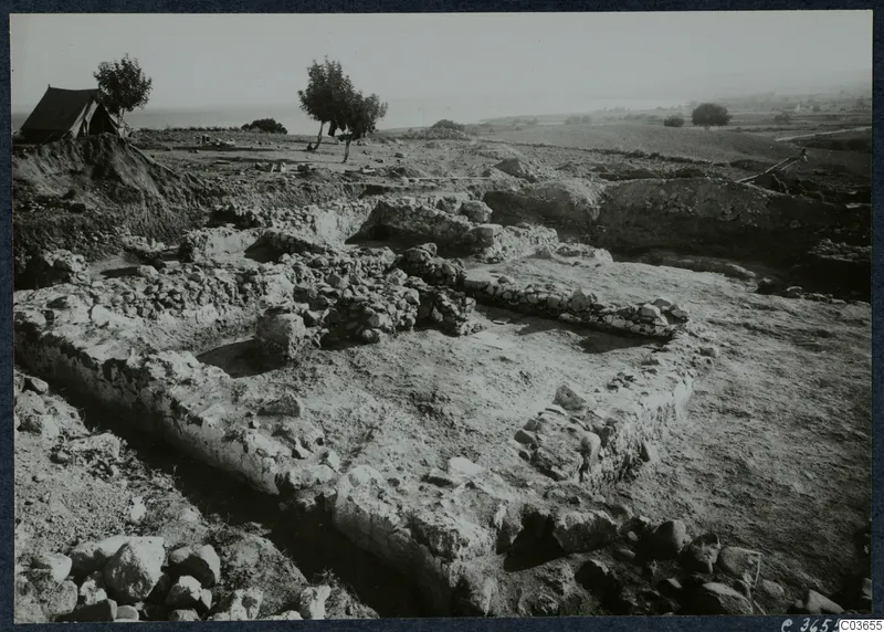 Excavated stone walls of Room V at Soli, seen from the west, with a tent and trees behind.