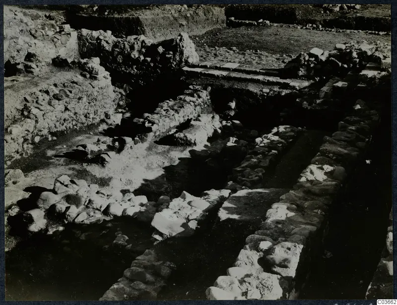 Excavation at Soli showing lines of rough stone walls and foundations with trenches between them