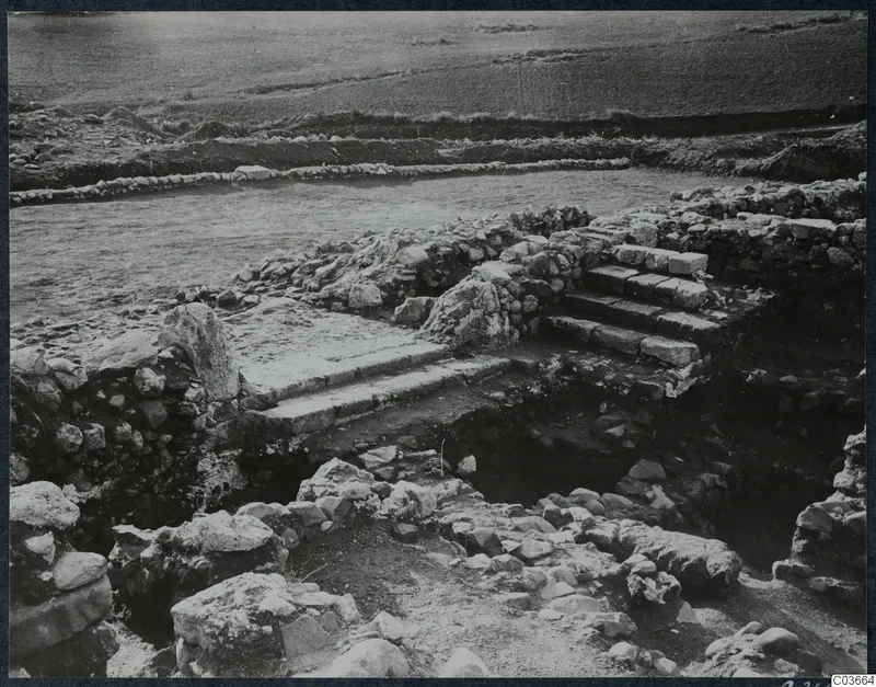 Excavated stone staircase and walls at Soli, with a field beyond