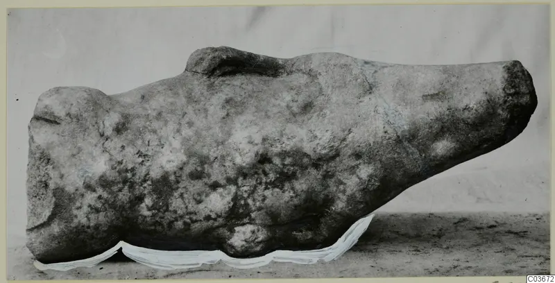 Fragment of a marble sculpture, a weathered stone form with a rounded end and a small raised projection on top.