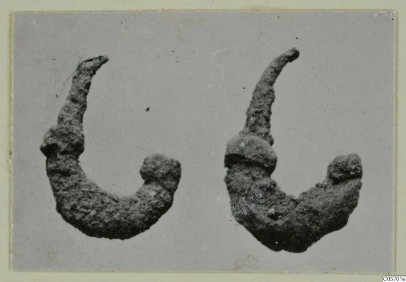 Two corroded, curved metal objects with knobbed ends, photographed side by side on a grey background