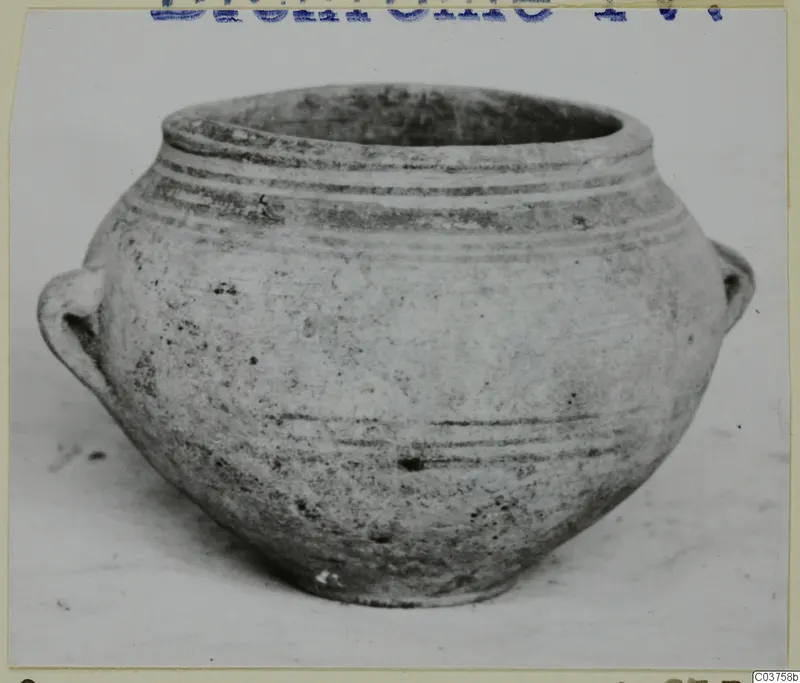 Round-bodied pot with a wide open mouth and two small handles, photographed on a pale surface