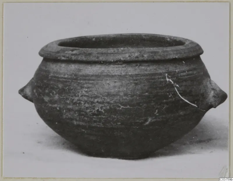 Pottery Stroke Polished Ware pot with a wide rim and two small lug handles