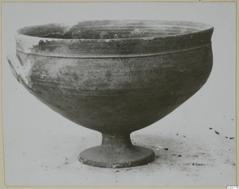 Footed bowl with two small side handles, photographed in profile on a pale surface.