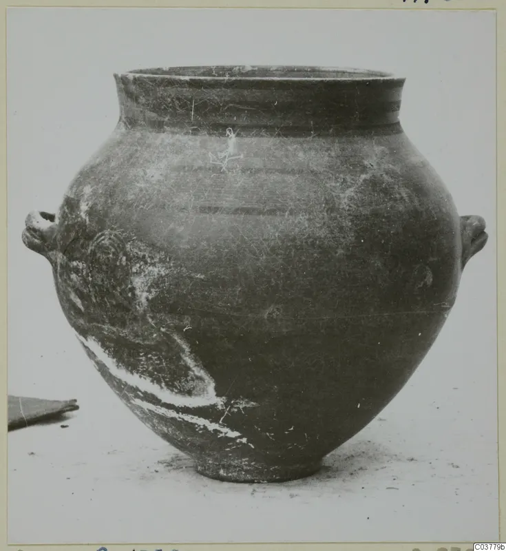 Round-bodied pottery jar with a wide neck and two handles, shown from the side on a plain surface