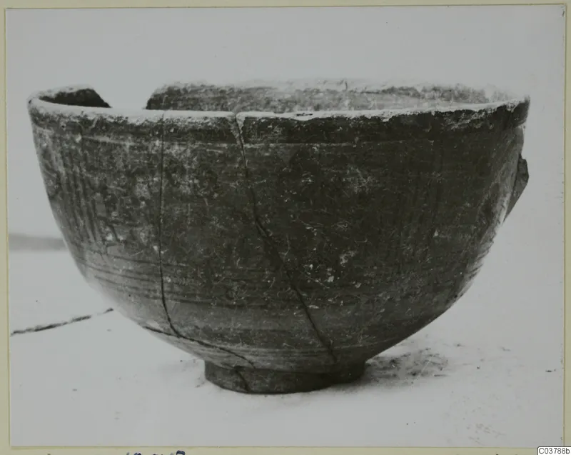 Painted bowl with a thick rounded rim and short ring foot, shown on a pale surface