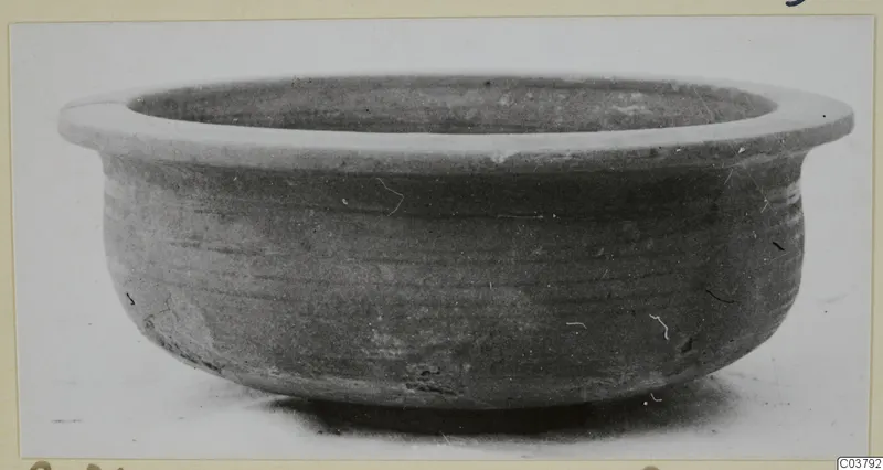 Wide, shallow pottery bowl with a thick outturned rim and plain body, photographed on a pale surface.