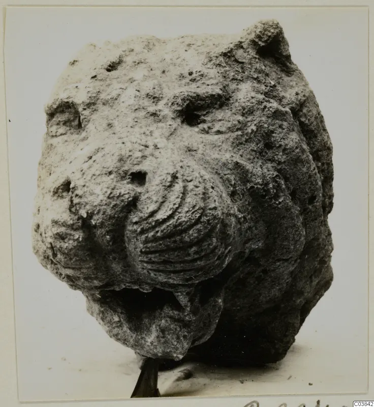 Limestone head carved as a feline face with a broad muzzle and rounded ears, photographed against a pale background.
