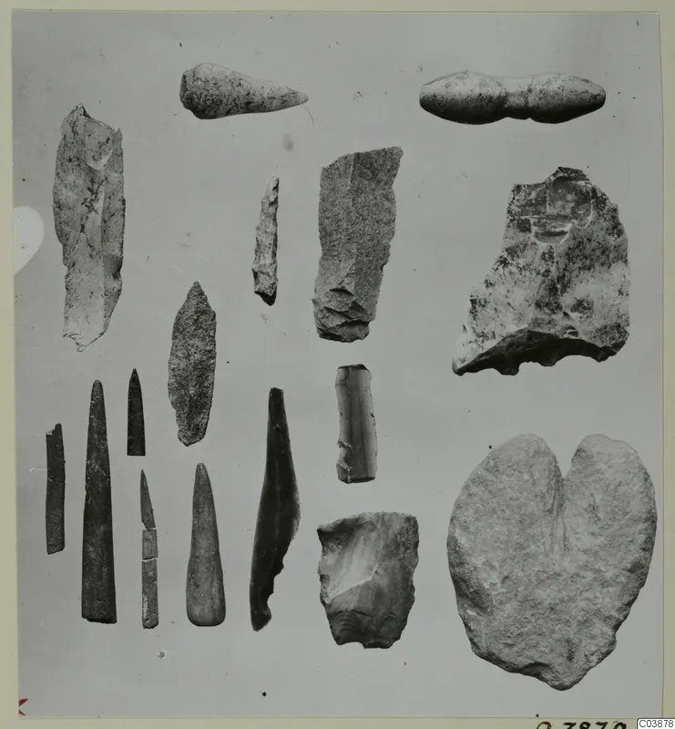Flint, obsidian, stone and bone tools from Petra tou Limniti, laid out in rows on a grey background