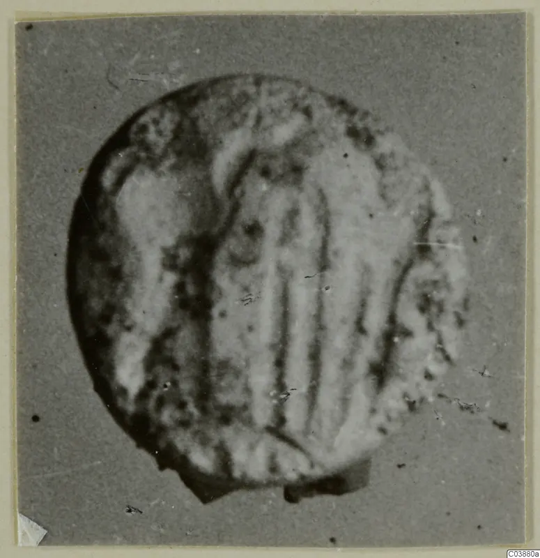 Blurred close photograph of a round seal or gem from Ayia Irini, with vertical grooves across its face