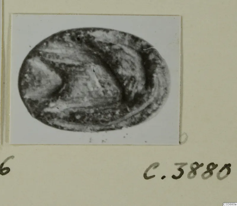 Oval engraved seal or gem, shown in a photograph pasted on a card mount