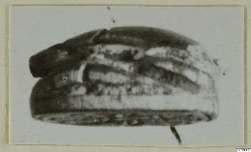 Engraved stone seal or gem from Ayia Irini, shown from the side