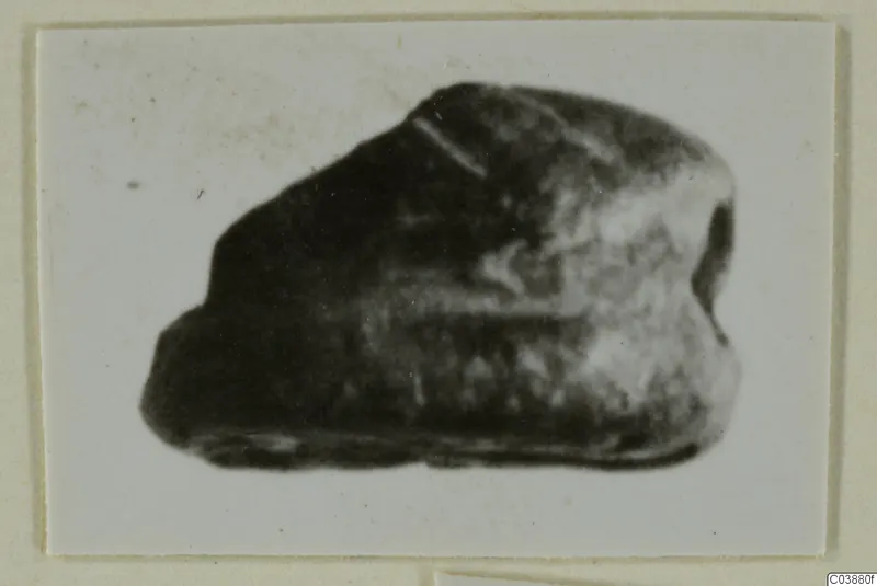 Small dark stone object, identified as a glyptic, in a blurred photograph