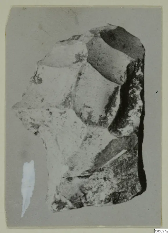 Scraper from Kythrea, a worked stone tool with flat flake scars across its face