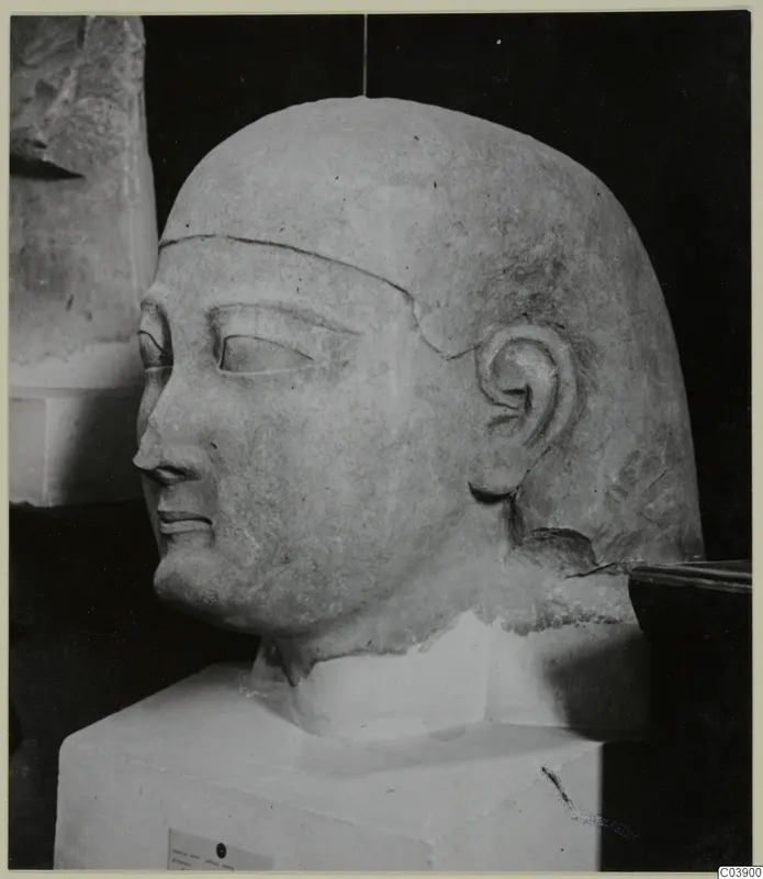 Limestone Cypro-Egyptian sculpture of a head and bust, shown on a white block base