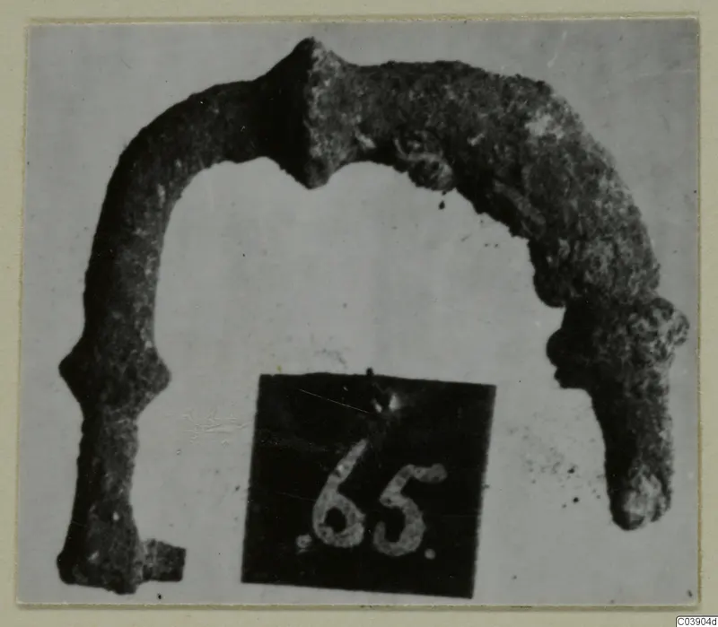 Corroded bronze arched object with knobbed ends, from Amathus, photographed with a number label