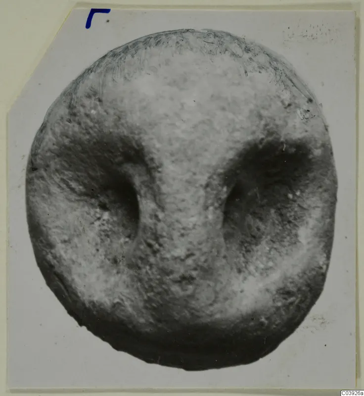 Terracotta face-like object from Vouni, seen straight on, with deep eye hollows and a raised nose ridge