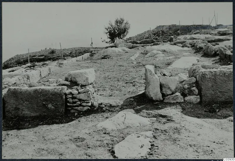 Excavated stone walls and large blocks at Vouni palace, with a small tree and wooden posts beyond.