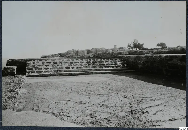 Stone steps and low walls of the palace at Vouni, with a tree on the ruined terrace behind.