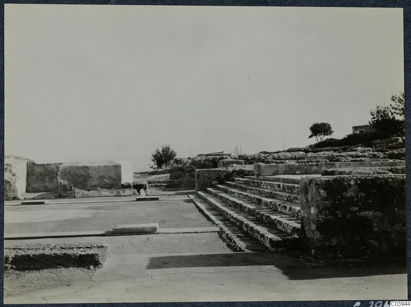 Stone staircase and low walls among the ruins of the palace at Vouni, with a tree behind