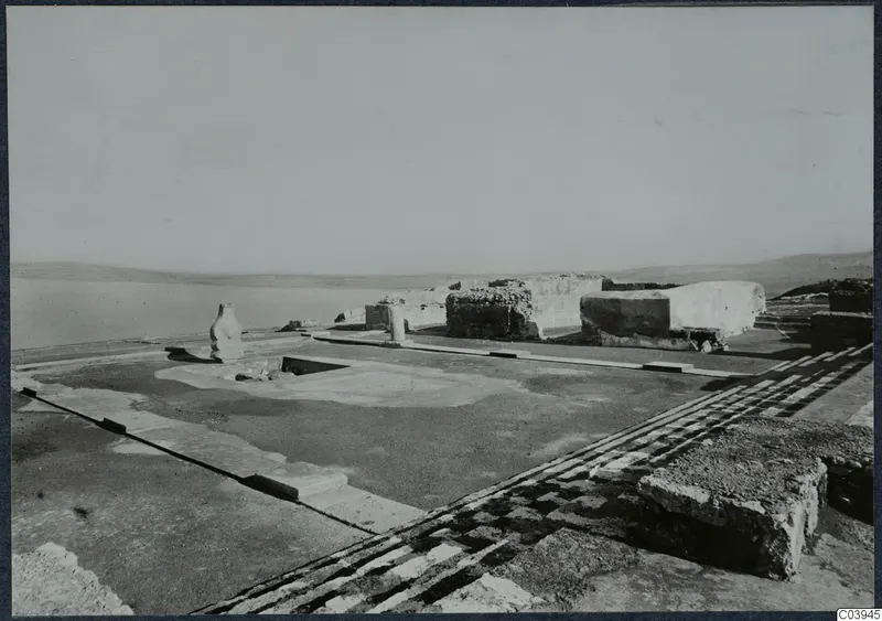 Excavated ruins at Vouni Palace: a stone wall, a paved floor with a checkered band, and steps at the right