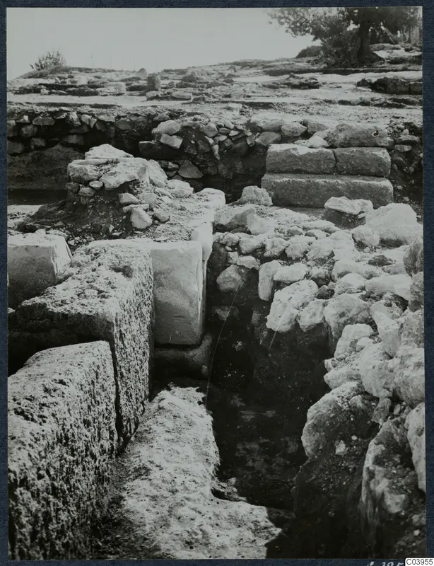 Excavation at the Vouni palace showing stone walls, a narrow trench and a tree in the background.