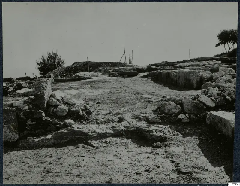 Excavated ground at the palace at Vouni, with dressed stone blocks and walls on either side and a few thin wooden stakes beyond.