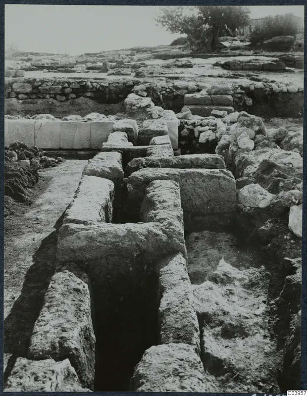 Excavation at the Vouni palace with exposed stone walls, a deep narrow trench and a tree behind