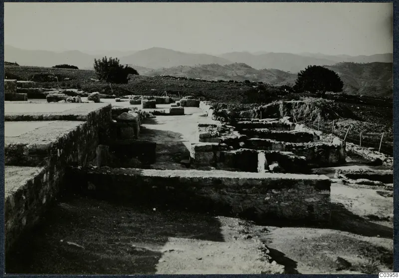 Excavated stone foundations of the palace at Vouni, with hills and trees beyond