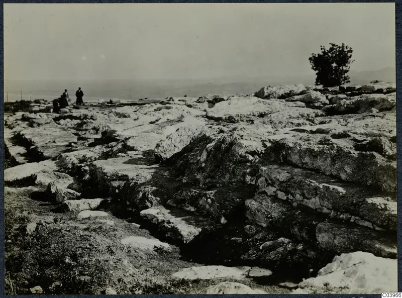 Cut stone remains at Vouni Temple of Athena, with a few people at the left edge and a small tree on the right