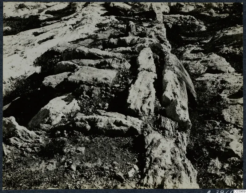 Stone blocks and scrub at the Temple of Athena at Vouni