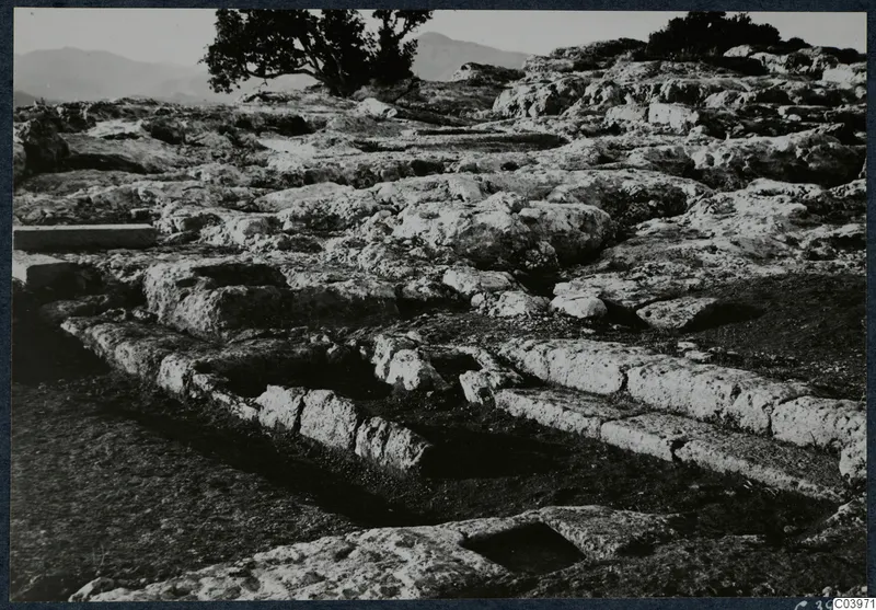 Rocky ground at Vouni with cut stone blocks and rectangular cuttings, a tree and hills behind