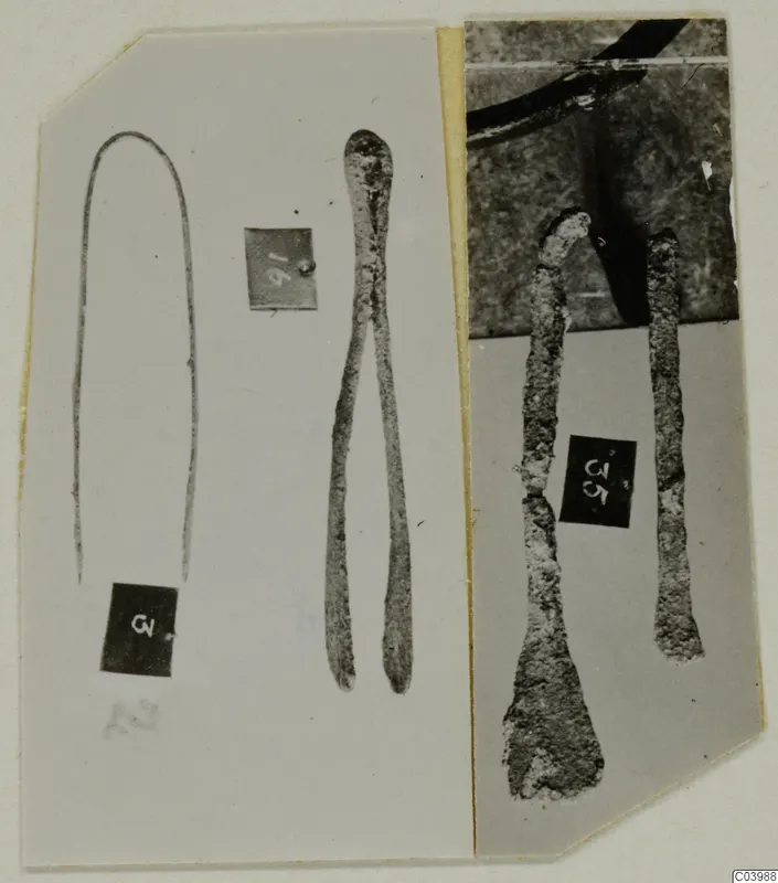 Photo mount of corroded metal objects from Lapithos Tomb 322B: a bent rod, a pair of joined prongs and two flat-ended tools.