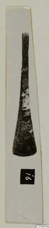 Bronze implement with a long narrow shank widening to a rounded blade, photographed upright on a white card strip