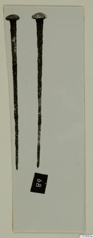 Two long metal pins with domed heads, laid side by side on a pale card