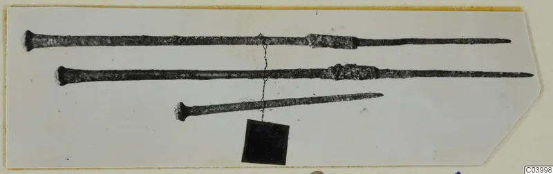 Three long metal pins or rods with knobbed heads and pointed tips, shown on a pale card mount.