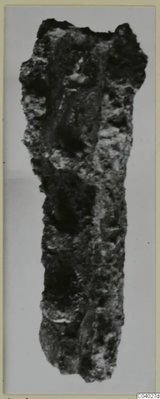 Corroded iron tool, long and narrow, shown upright against a pale grey background