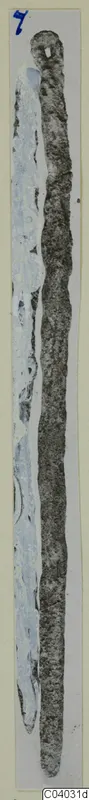 Bronze tools from Arsos: two long, narrow metal objects shown side by side on a pale card.