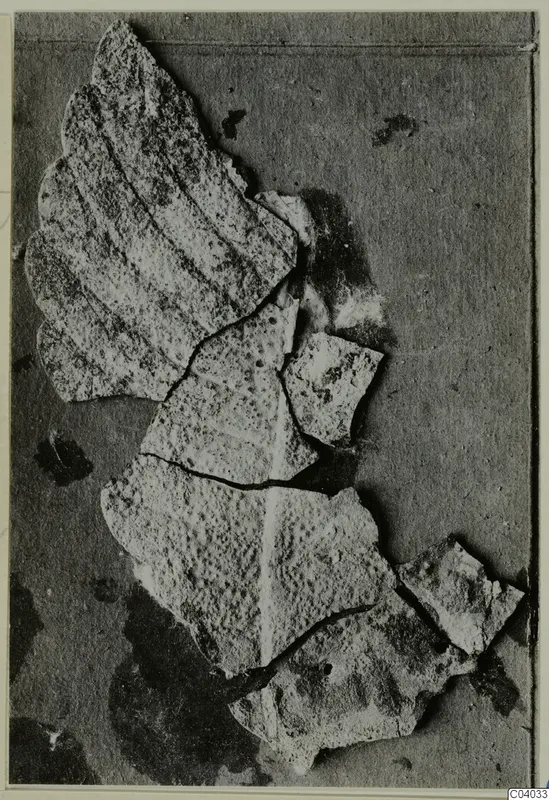 Corroded bronze mounting fragments lying together on a dark card