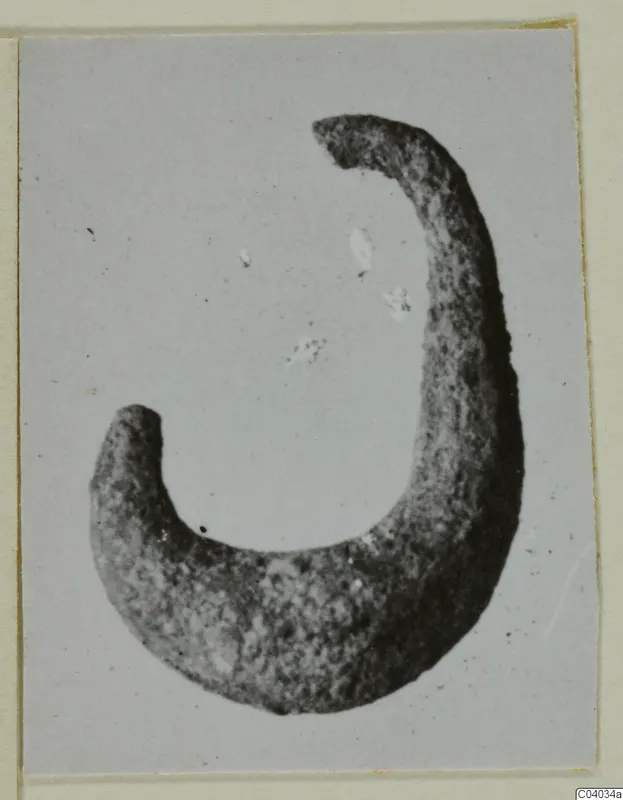 Crescent-shaped metal object with tapering ends and a pitted surface, shown in a photograph mounted on a card.