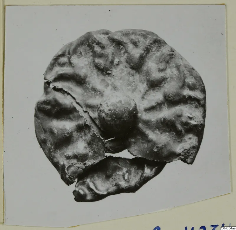 Corroded silver object, round and lumpy with a central knob and broken edges, shown on a photo card