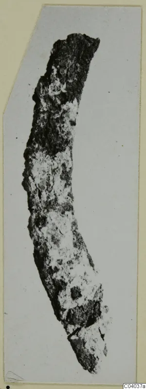 Corroded, curved iron tool from Idalion, shown on a mounted photograph card