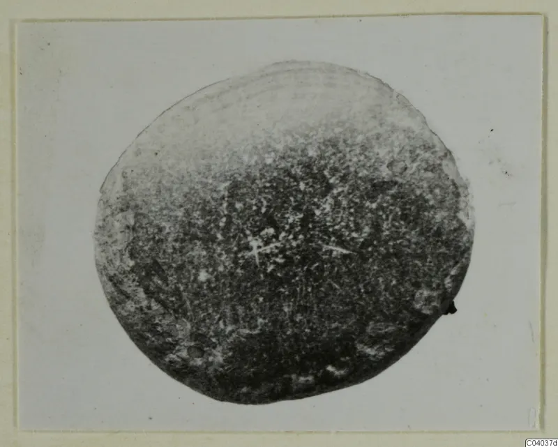 Round small find from Idalion, dark and mottled, photographed against a pale background.