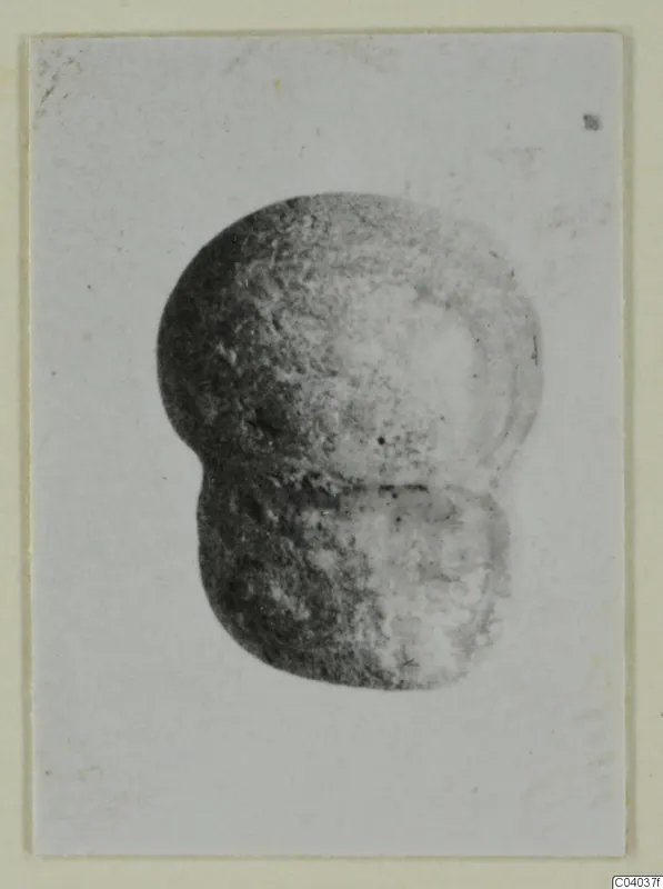 Small find from Idalion: a double-lobed object with a dark groove, shown in a photograph mounted on a card.