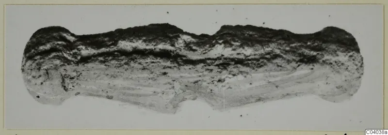 Elongated, irregular find on a pale background with a dark crumbly upper surface and layered streaks; recorded as bone